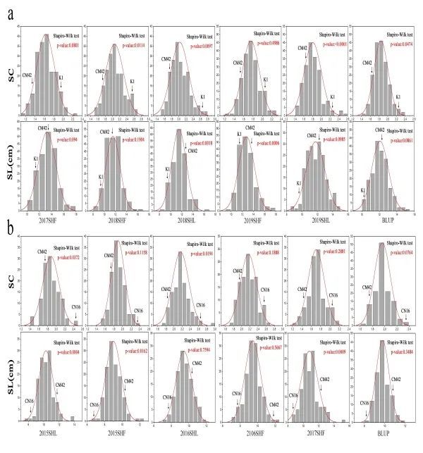 showing pleiotropic effects on yield-related traits为题,发表在