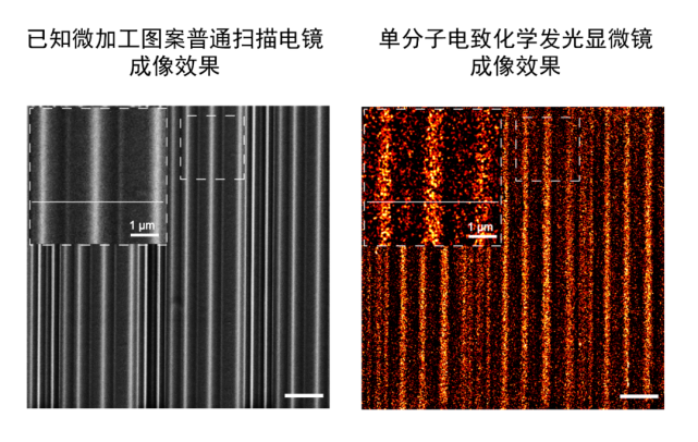 登上《自然》封面!新型化学显微镜在浙大问世,像数星星一样观察分子