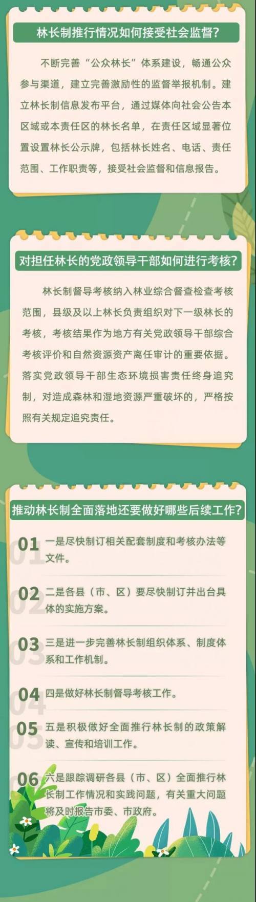 一图读懂|肇庆市全面推行林长制工作政策解读