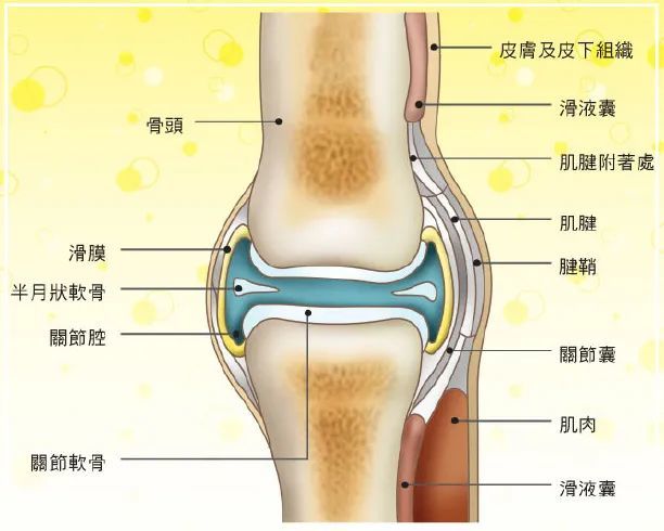 膝关节肿了,疼了,就是滑膜炎吗