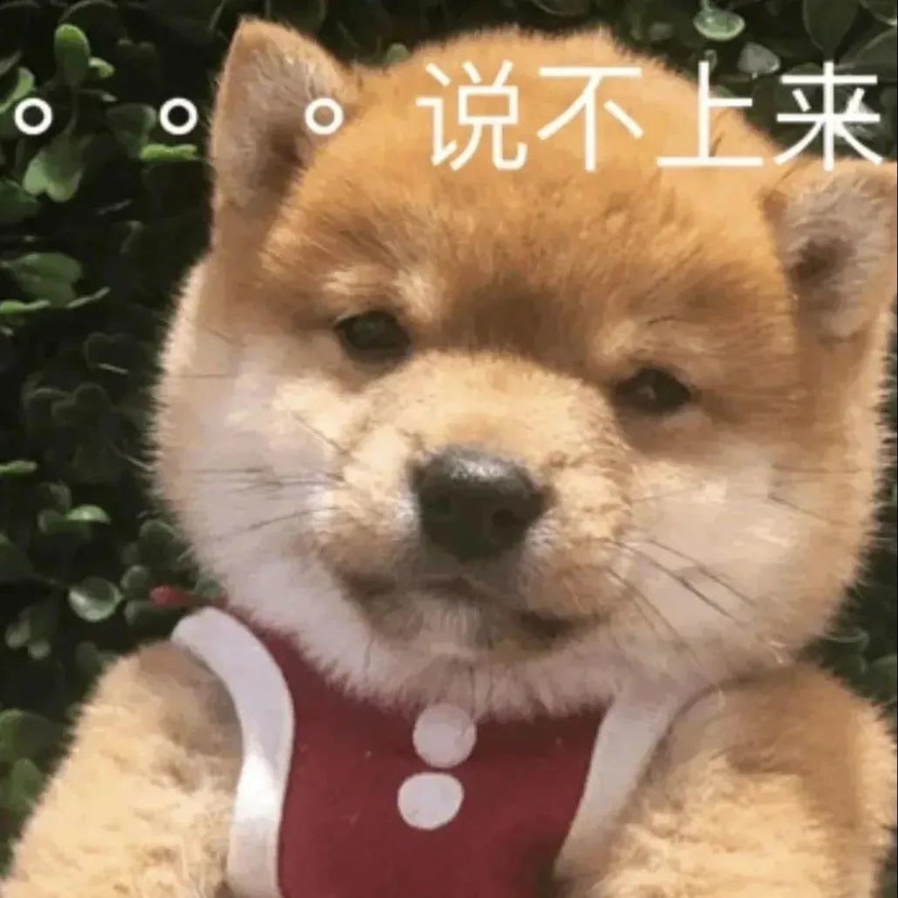 表情包:请你吃狗粮