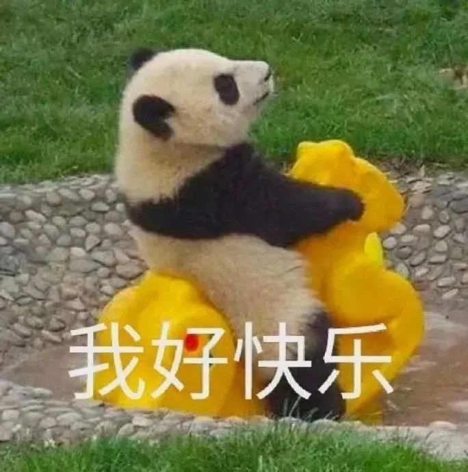 可爱沙雕表情包 | 精神小狗表情包