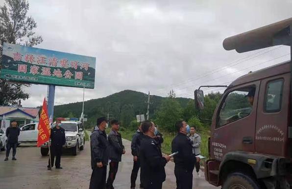 东北虎
