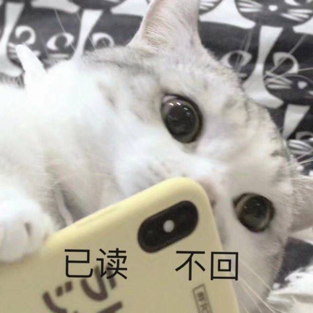 猫咪表情包|我要吃软饭