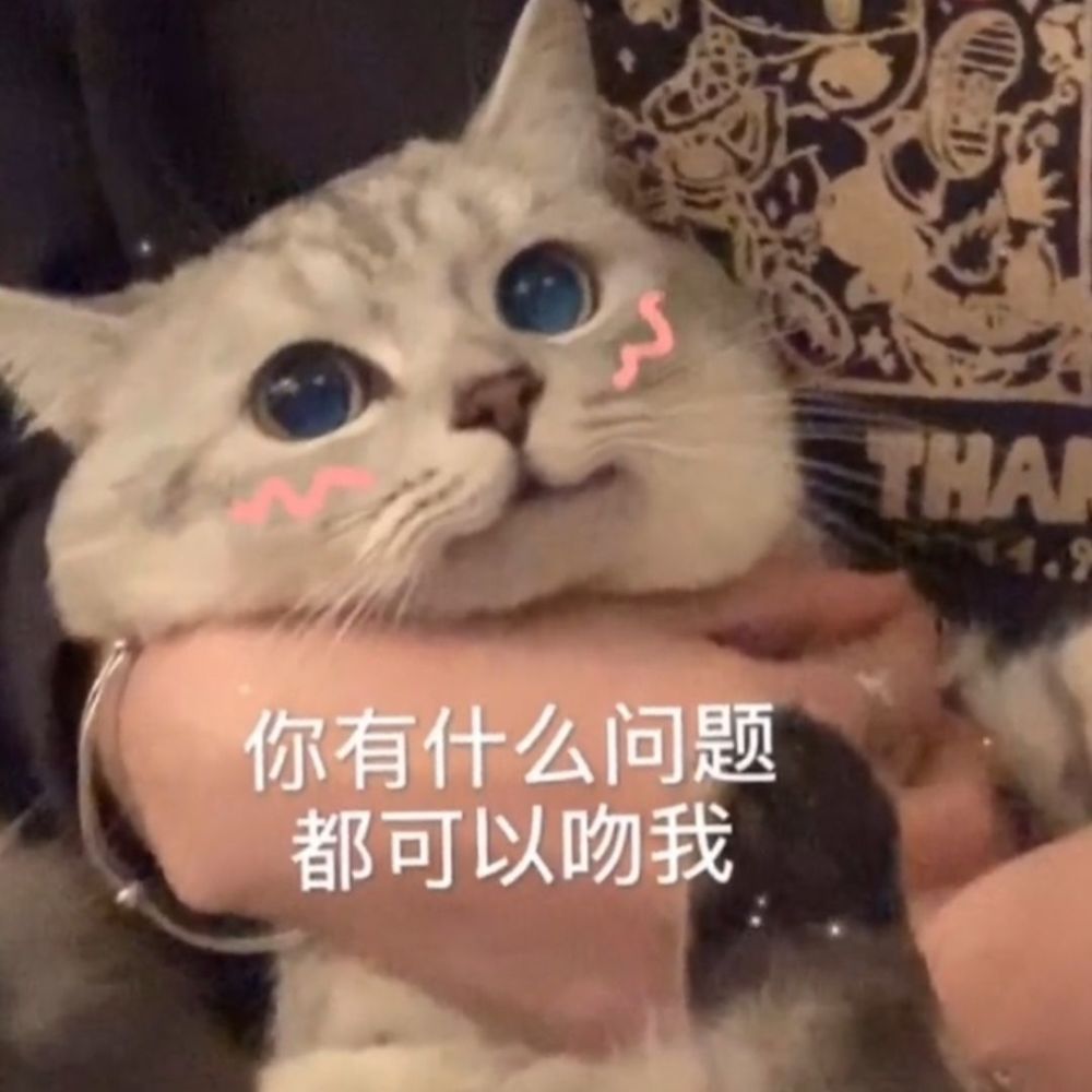 猫咪表情包|我要吃软饭