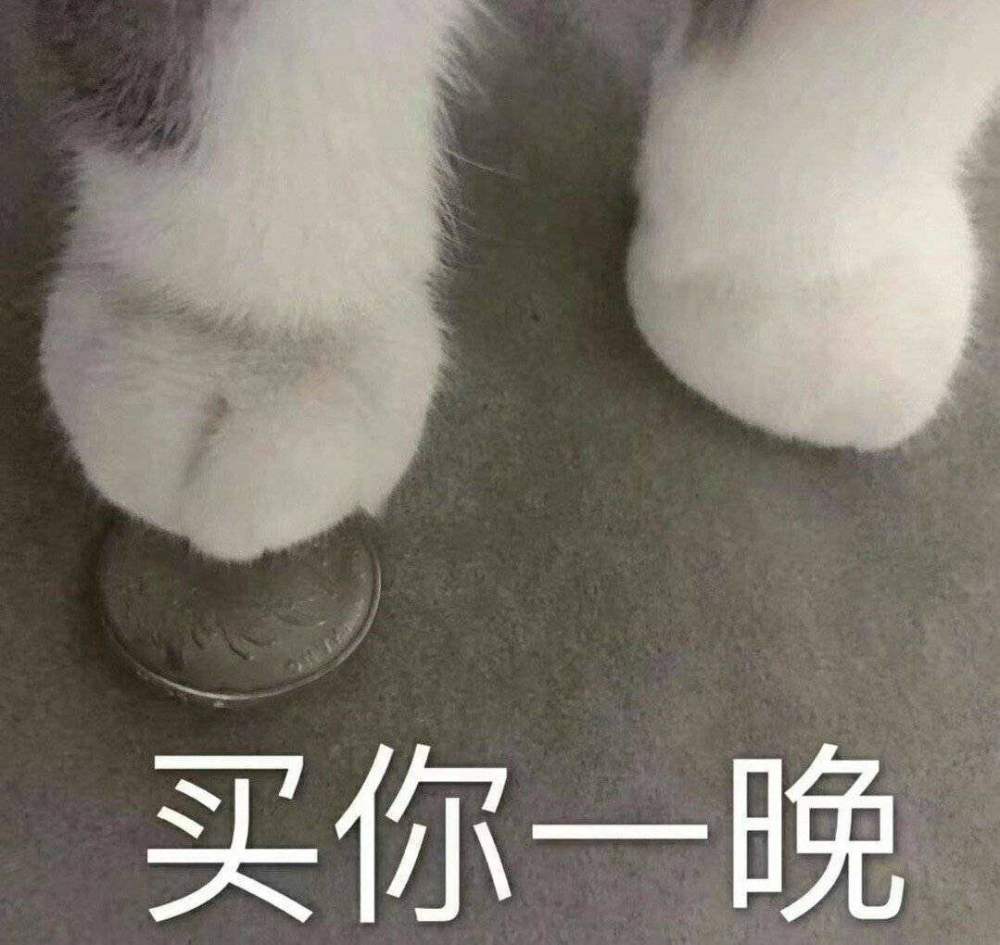 猫咪表情包|我要吃软饭