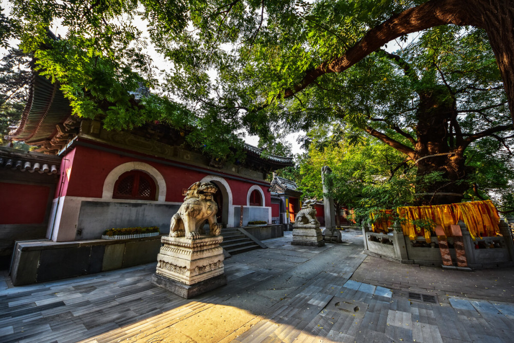 戒台寺已有千年历史的寺庙备受游客喜爱