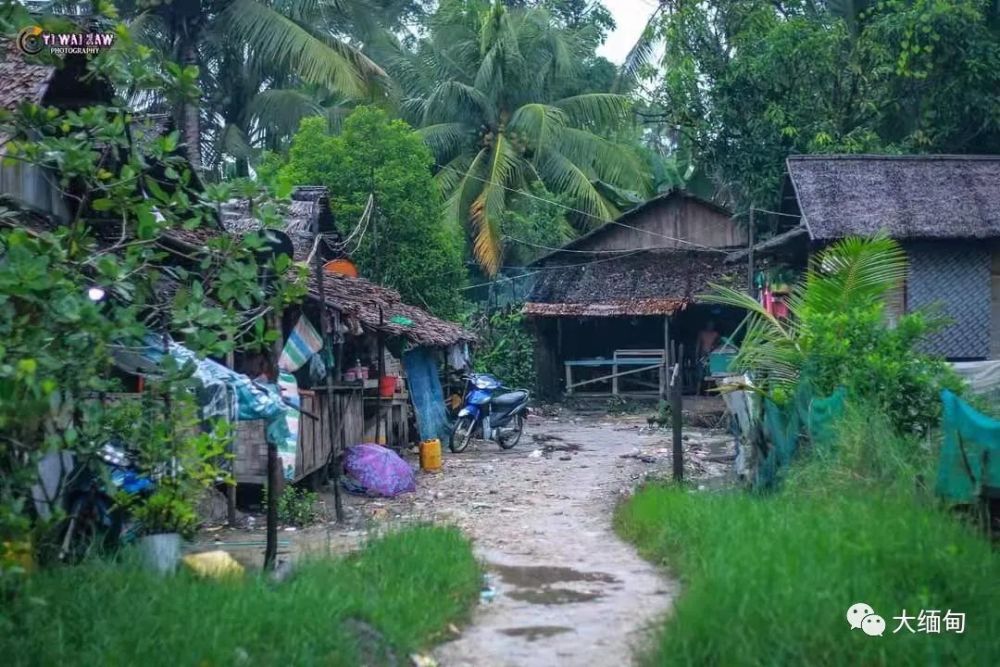 世间繁华与我何干?这里是缅甸丹老镇的村寨,村民过着低碳的生活