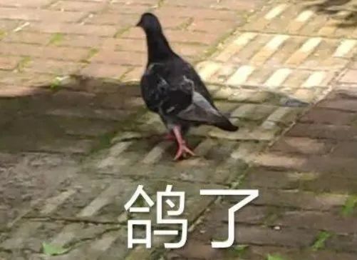 表情包小表情麻溜点发我五块
