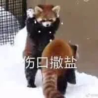 【恶搞表情】请你圆润的离开