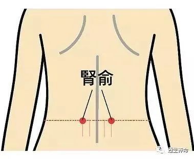 肾俞的准确位置图,肾俞穴的功效与作用