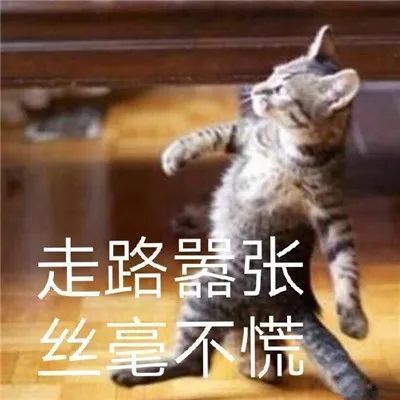 表情包很霸气地暴走嚣张的表情