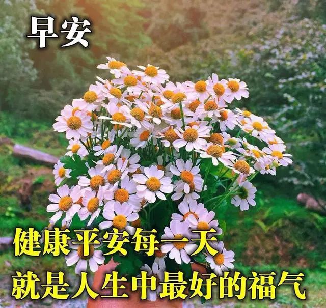 清早问候大家的早上好的漂亮图片,早安问候温馨祝福语