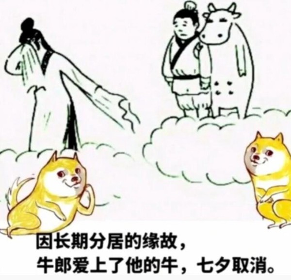 牛郎的牛棚也没有环评和土地手续被拆除. 故此,今年七夕取消.