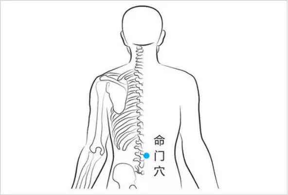 命门穴