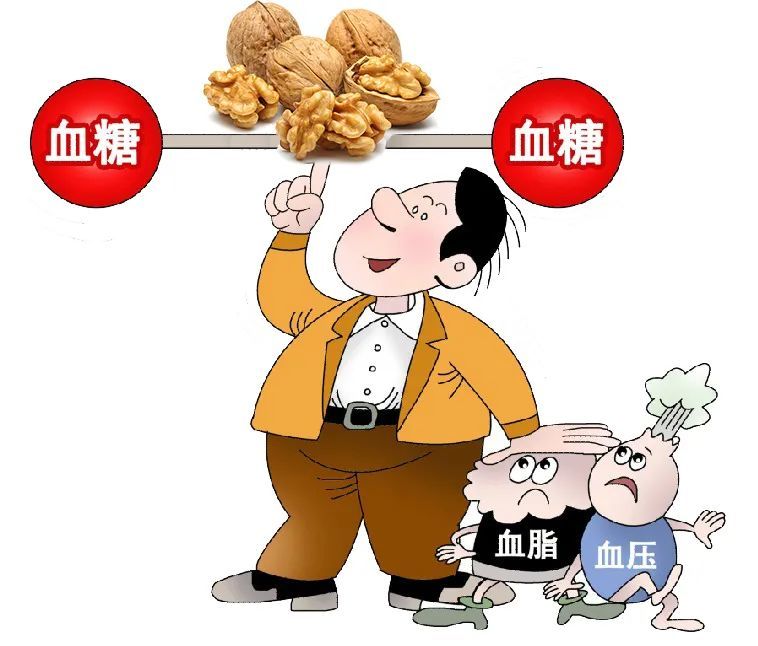 ƹ֢Ʒ_ƹ֢_ƹ֢Ķͼʾ