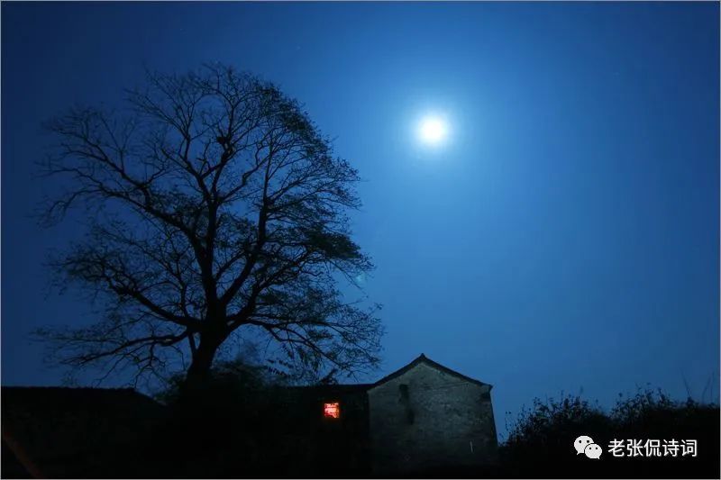 夜晚读唐诗,让人想家:"灯前一觉江南梦,惆怅起来山月斜"