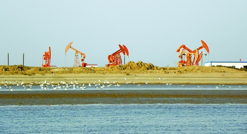 大港油田储气库群位于渤海海滨,北大港湿地,天津石化工业园区,长芦