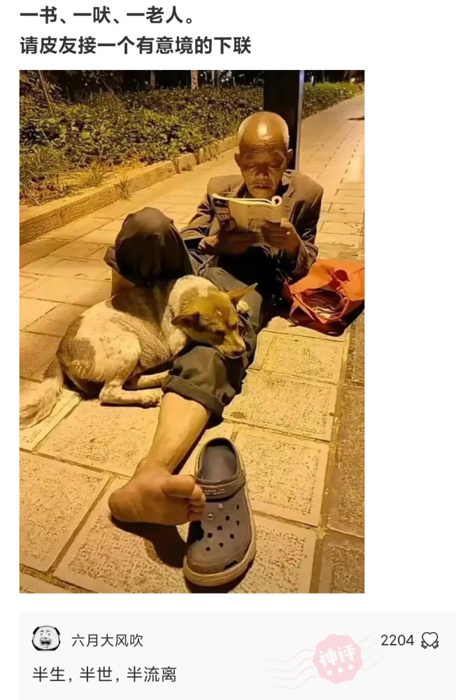 【沙雕问题6】:一书 一犬 一老人,请皮友接一个有意境的下联.