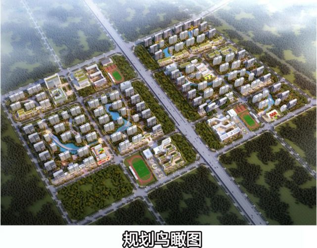 青岛理工大学临沂校区,九曲钢材物流市场详控