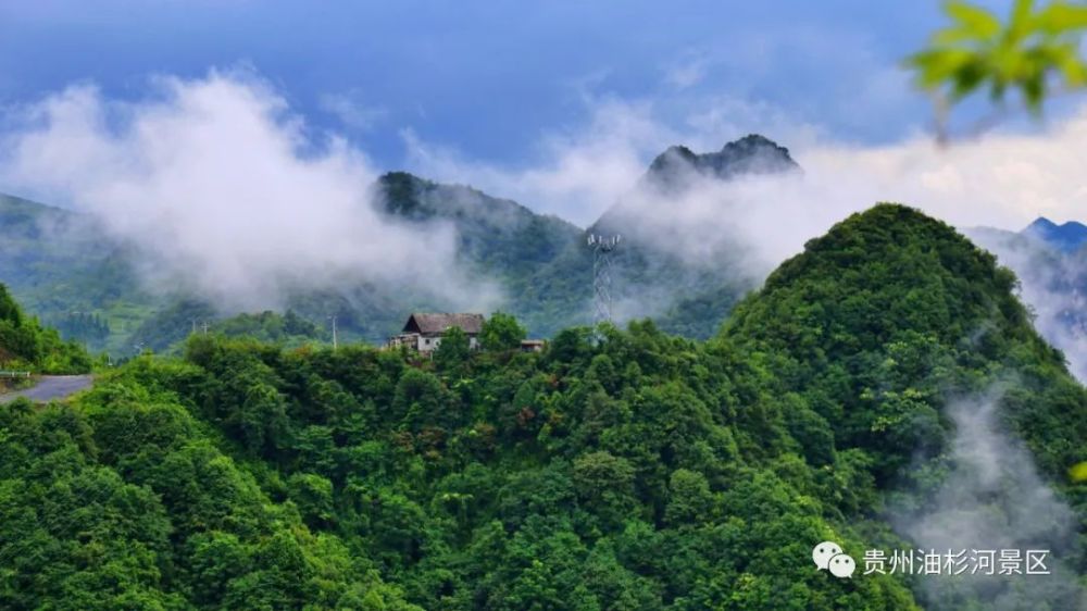 云雾缭绕的油杉河景区宛若人间仙境