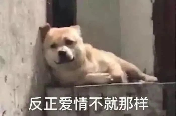 大声告诉我谁是单身冠军