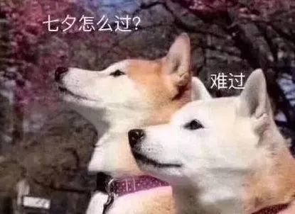 文案|七夕沙雕文案