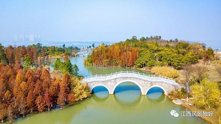 到南昌的小马尔代夫——瑶湖郊野森林公园,这里有沙滩,小岛,海浪的