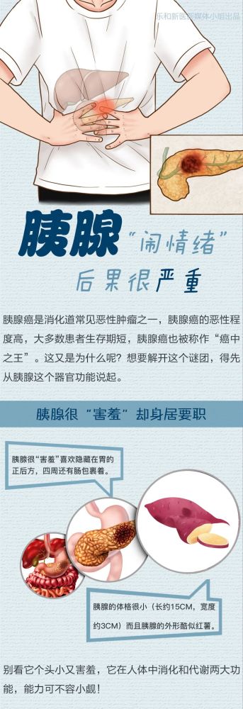 一图读懂|"害羞"的胰腺,"闹起脾气"来后果有点严重