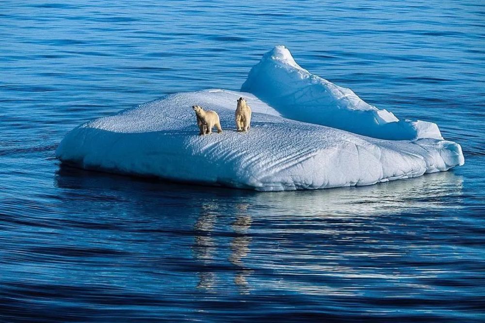 北极最后一座冰山开始融化,南极也面临消失,地球到底怎么了?