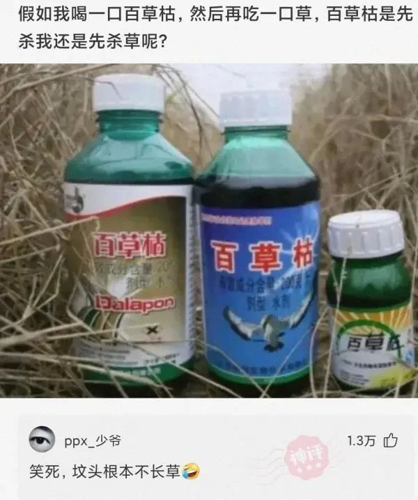 【沙雕问题3】:假如我喝一口百草枯 ,然后再吃一口草,百草枯是先杀草