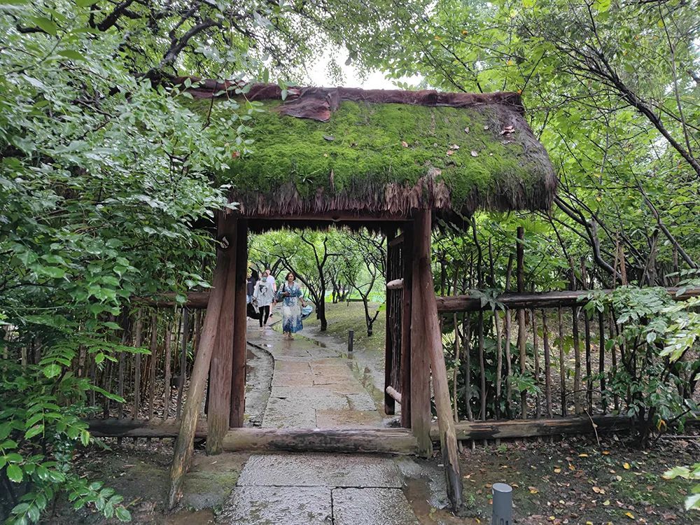 微雨中温一壶老酒,这座水巷遍布的小城,就是被"遗忘"的江南了