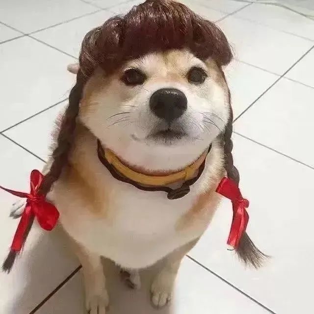 七夕限定明显情侣头像大合集!来吃狗粮!