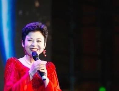 22岁嫁初恋,23岁爆火,38岁跌落神坛,董文华经历了什么?