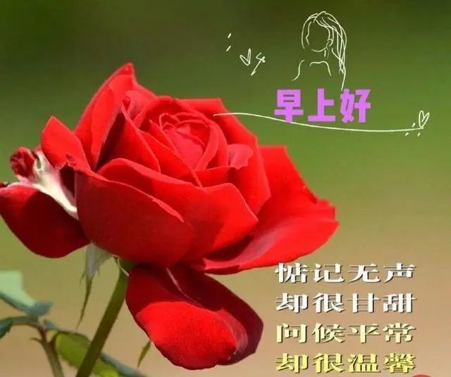 非常漂亮的早安祝福语短信大全早上好问候动态表情图片带字带祝福语