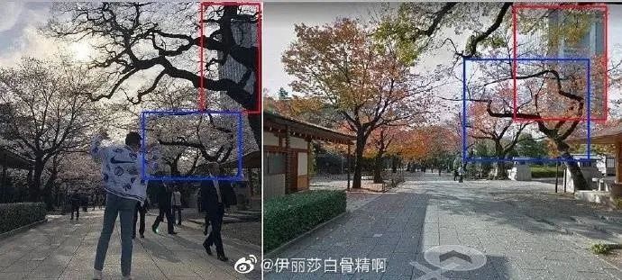 我们这届网友为什么对张哲瀚在靖国神社拍照比耶这么反感