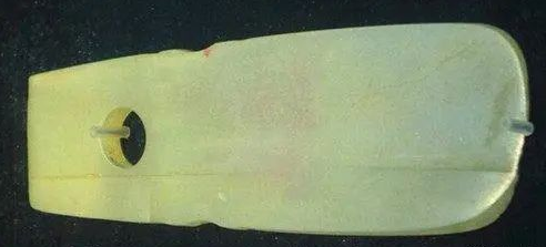 郑州市文物考古研究院藏. 玉戈二里头文化