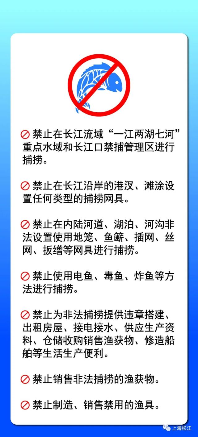 长江流域全面禁渔,这些事情千万不要做