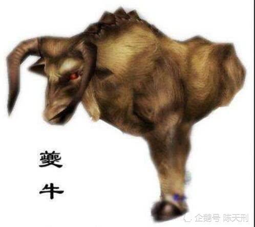 菩提老祖为什么要教孙悟空,和西游记中隐藏的一个惊天
