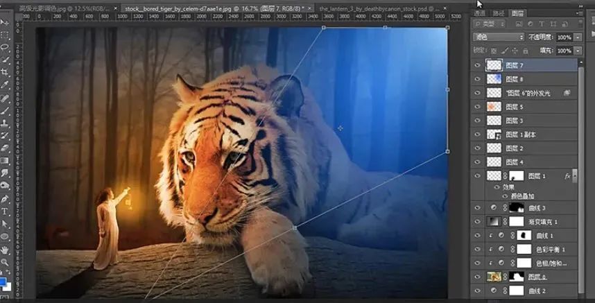 老虎与人的海报合成及光影调色