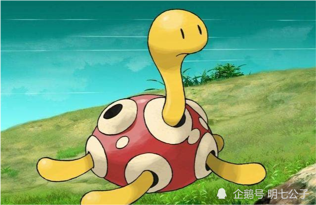 梦境迷踪，蛇与乌龟的寓言——解析我在梦中的奇妙体验