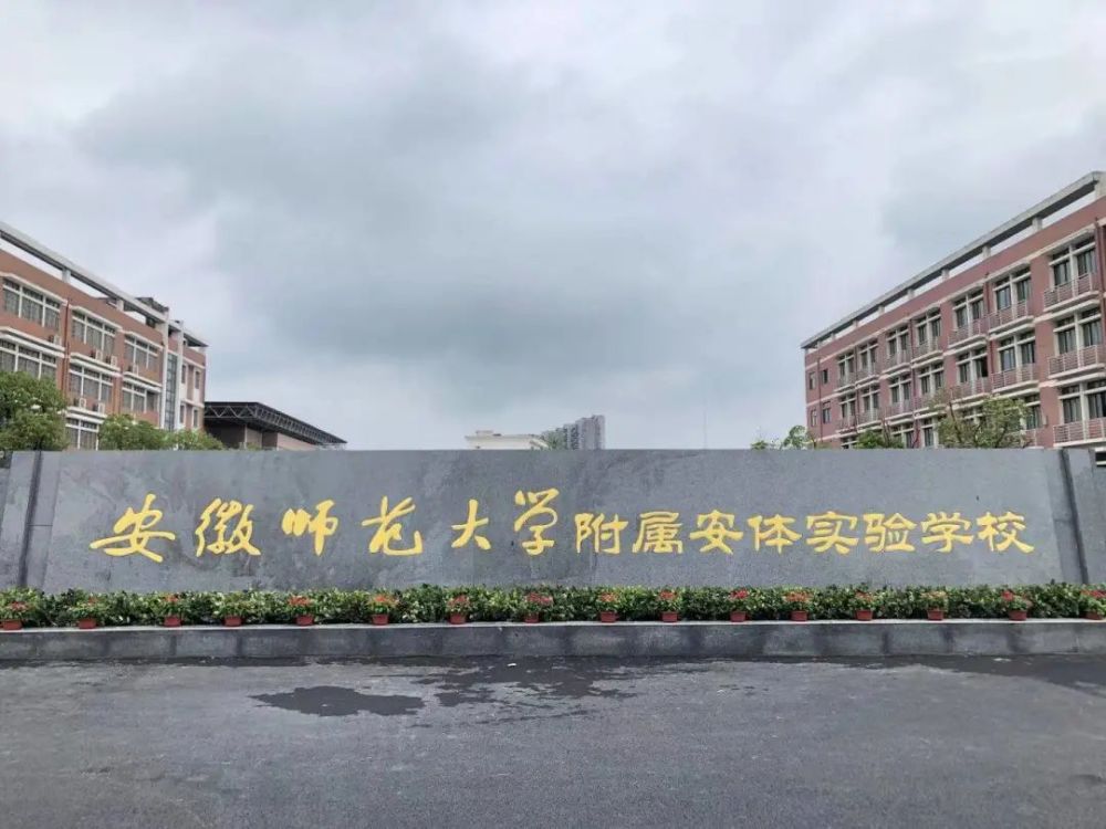 8月12日,安徽师范大学附属安体实验学校正式揭牌,标志着弋江区集团化