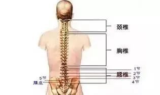 可能产生的疾病:骶骨关节痛,脊柱侧弯.