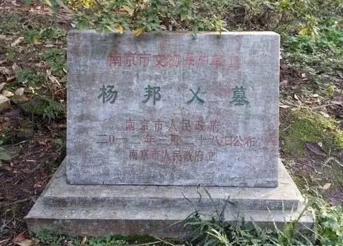 兀术)命人剖腹取心《鸿山杨氏家谱》记载岳飞裨将杨再兴为杨邦乿季子