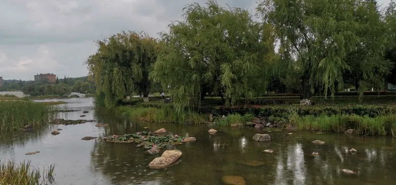 马龙水景公园,位于马龙滨河南路与龙泉南路之间,公园里树木郁郁葱葱