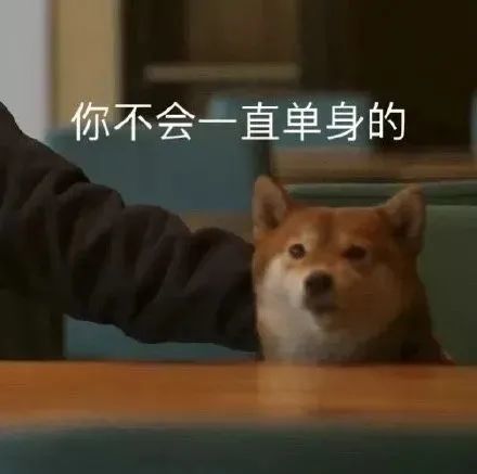 表情包丨单身狗表情包
