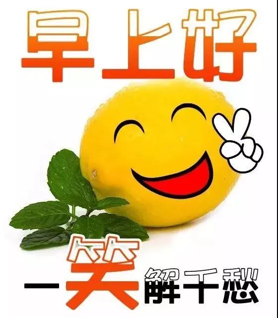 早上好朋友,最全早安祝福语问候早上好,唯美早安动态问候语句图片