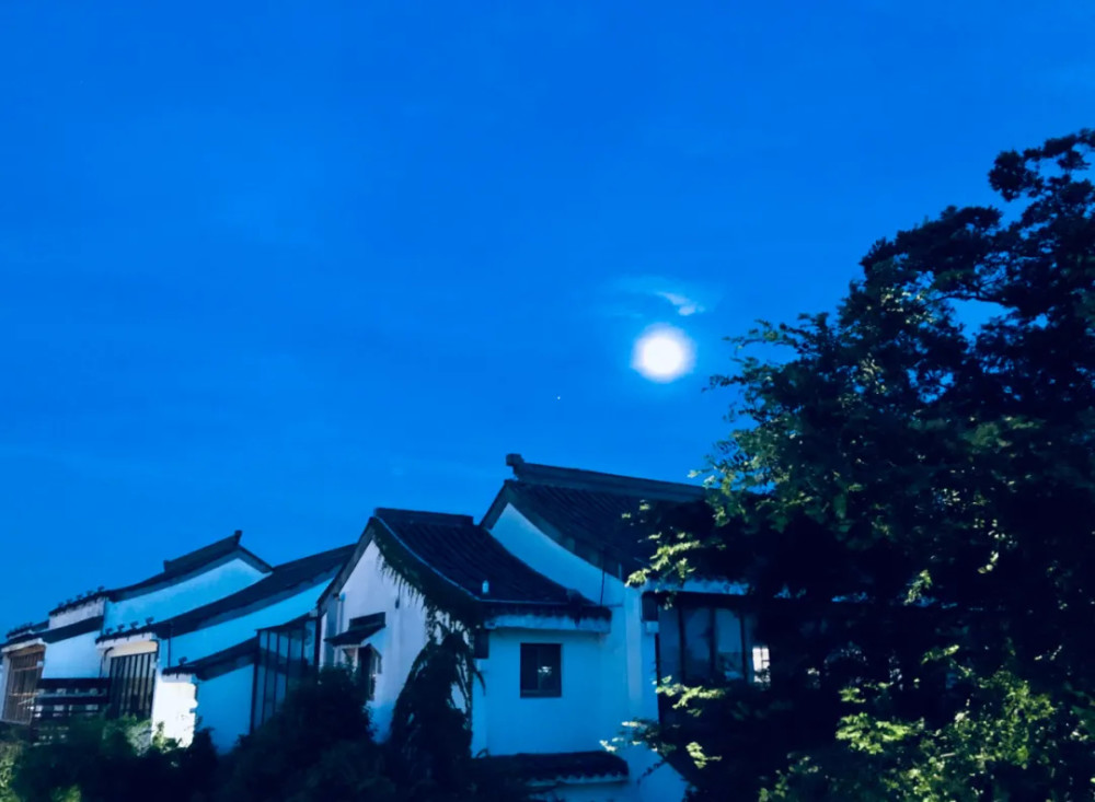 下扬州,慢慢走