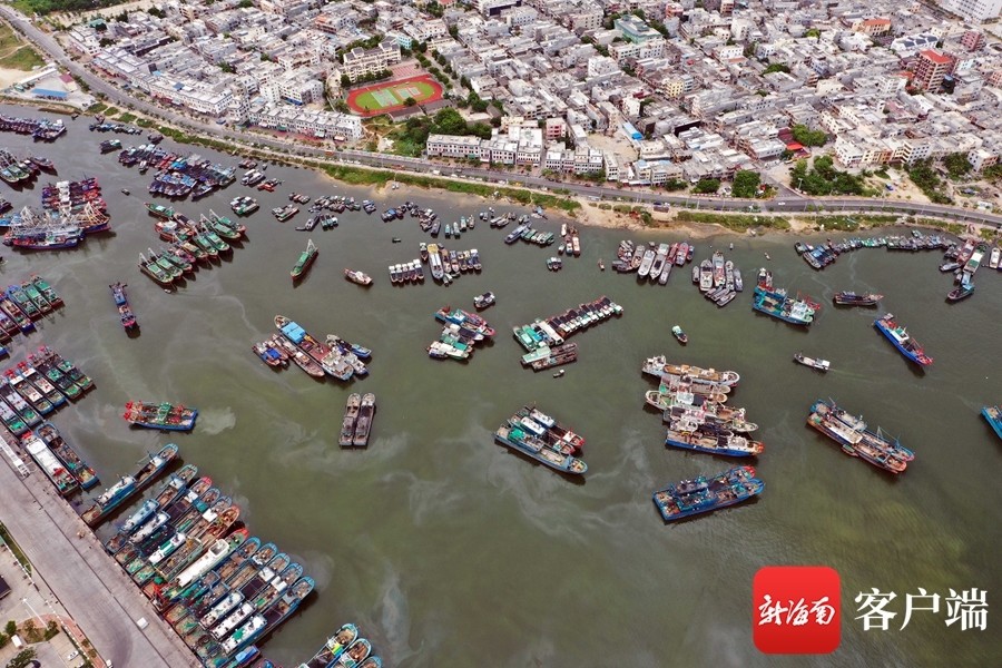 晓峰近距离|南海即将开渔 三亚崖州中心渔港又热闹起来啦