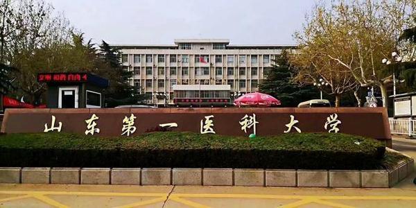 河北医科大学,山东第一医科大学,拥有多名院士,超多数